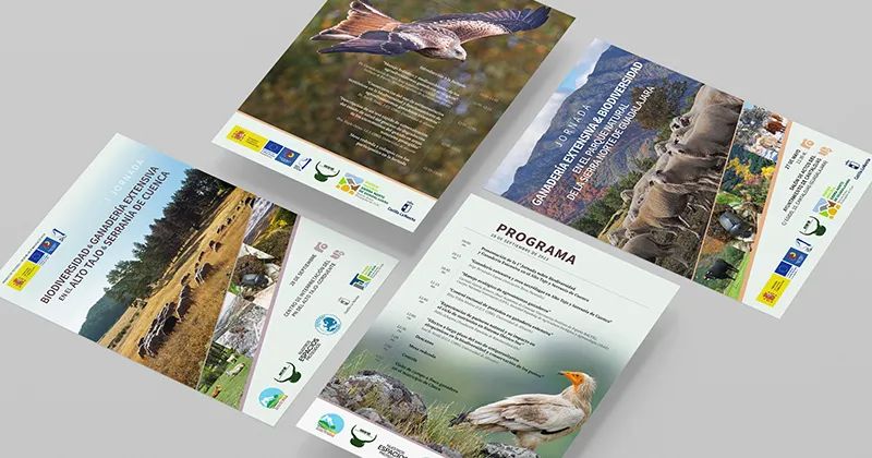 Flyers Jornadas Ganadería