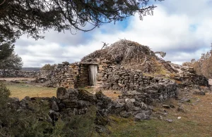 Chozón sabinero (PNAT)