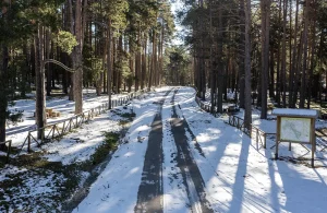 Area recreativa junto a Orea (PNAT)