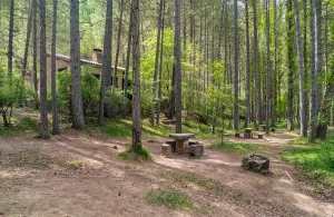 Área Recreativa