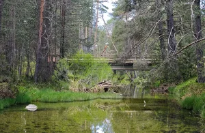 Puente de las Tres Provincias