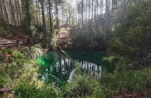 Los Lagunillos