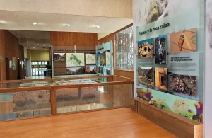 Centro de Interpretación, Corduente