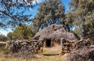 Chozón de Olmeda de Cobeta