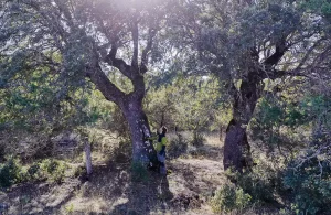 Dehesa de Olmeda